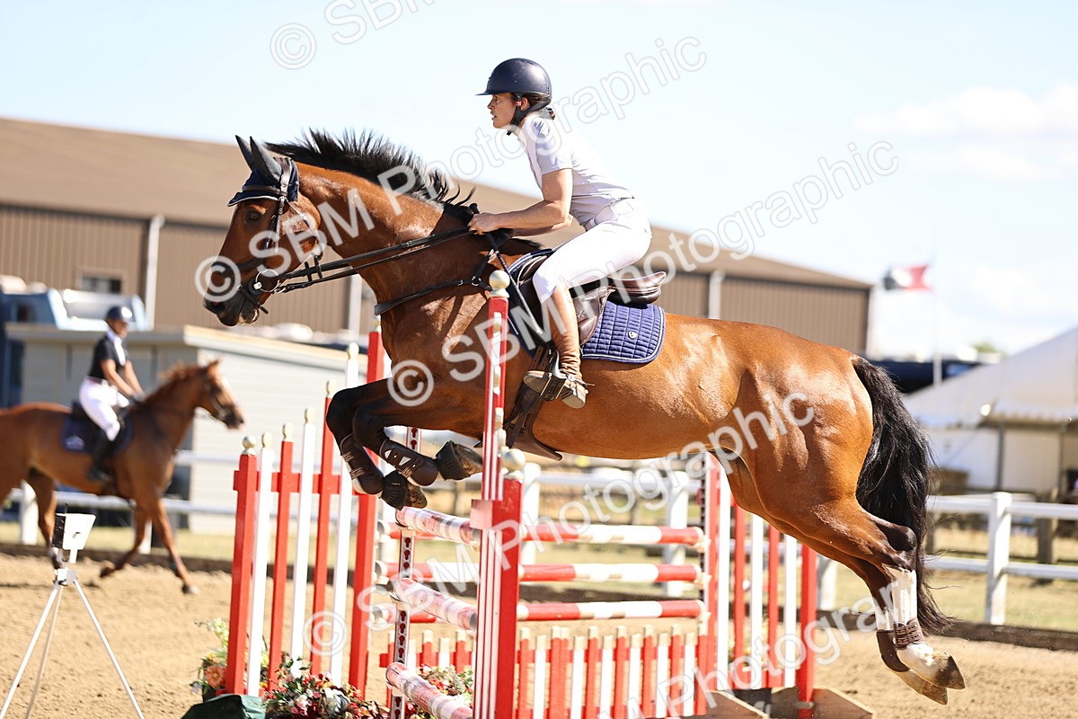 SBM_015526 - Class 16 - Senior foxhunter - 1.20m Open