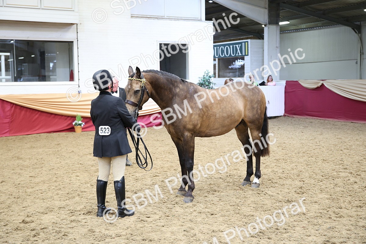 SBM_24722 - Class 906 - Supreme Final - Ridden Pre Vet