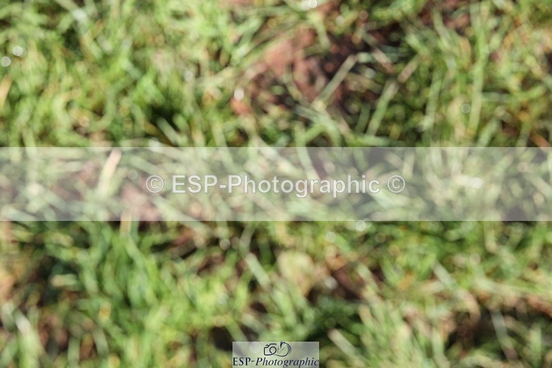 231022-120024-27183 - BE100 Presentations