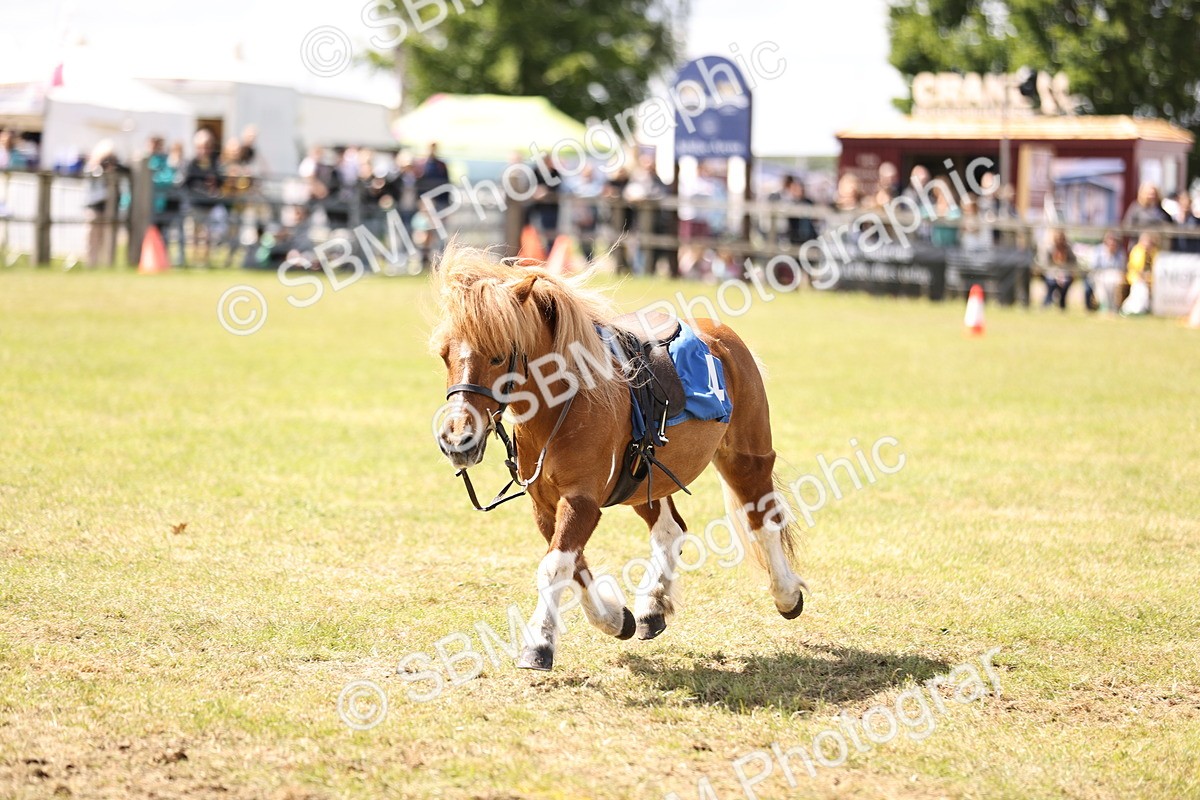 SBM_16750 - Dinky Derby