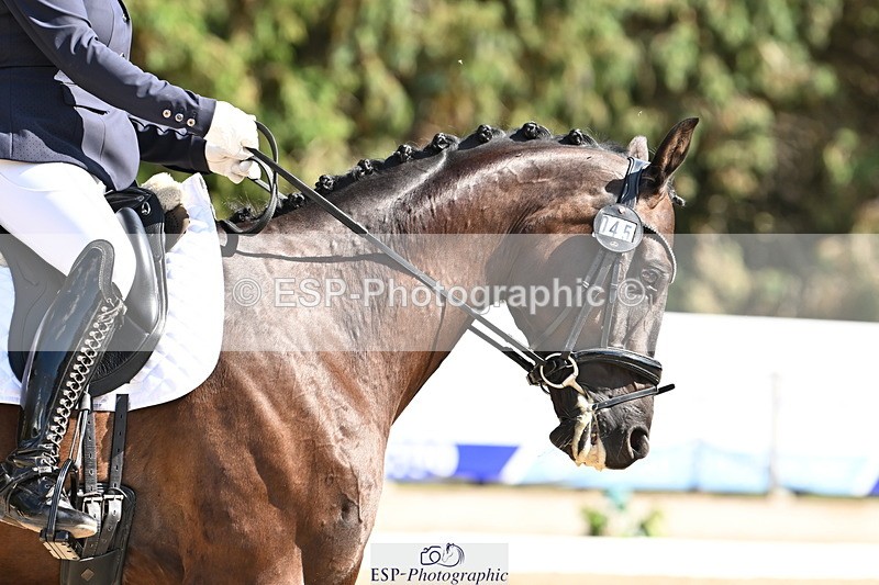 250808A-155001-01762 - 045-Amanda.PettsLarkshill.Super.Sonic