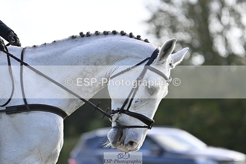 241025-142128-09631 - 386-Sarah.Ulph-COOL.ICE