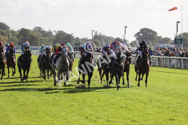 yr08102022r4-25 - Race 4 3.15pm The Coral Sprint Trophy