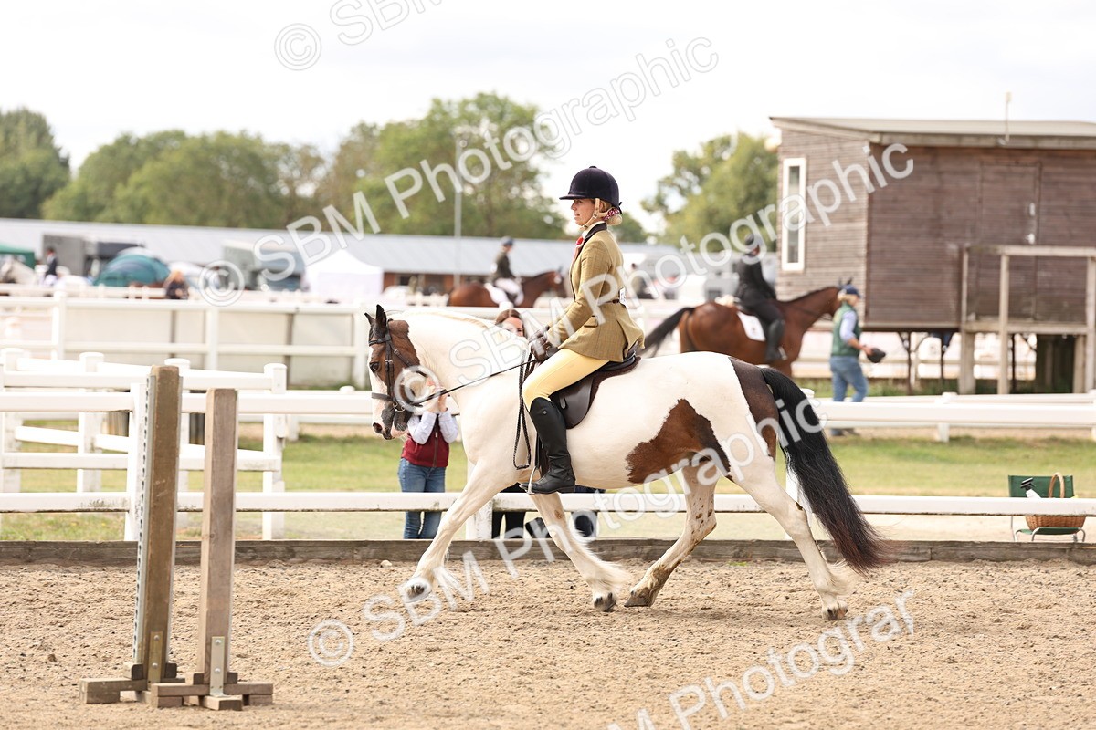 SBM_04276 - Class 54 - Riding Club Horse/Pony