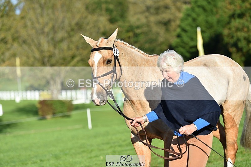 231022-100212-22199 - 612-CORRIEVIEW.MERLIN.MAGIC-Jane.Rogers-TrotUp+SJ