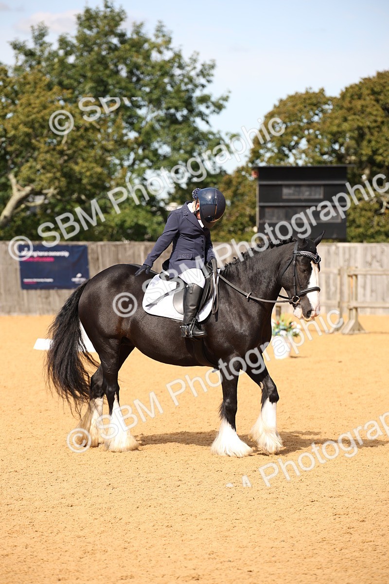 SBM_21736 - D5 - Small Tour Championship - Intro C
