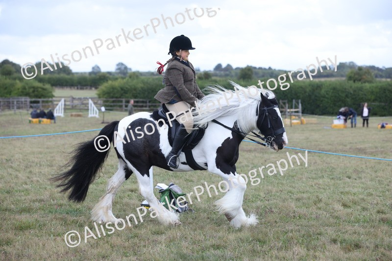 20250831-4238 - Class 20 - Ridden Coloured