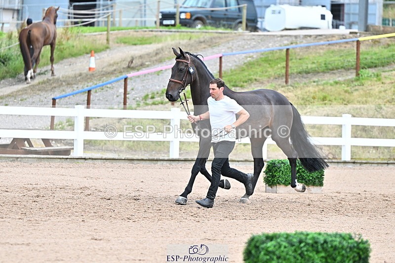 240718A-105322-01911 - Trot Up 2pm to 3pm - This folder is not in time order