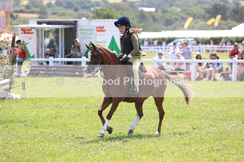 JPP_2496 - Class 21: Working Hunter 60cm
