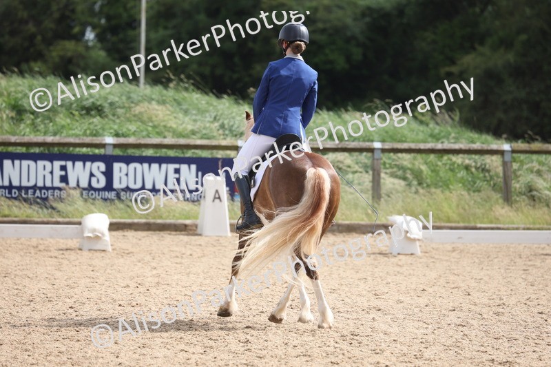 20250614-1505 - Class 7 - Elementary 2