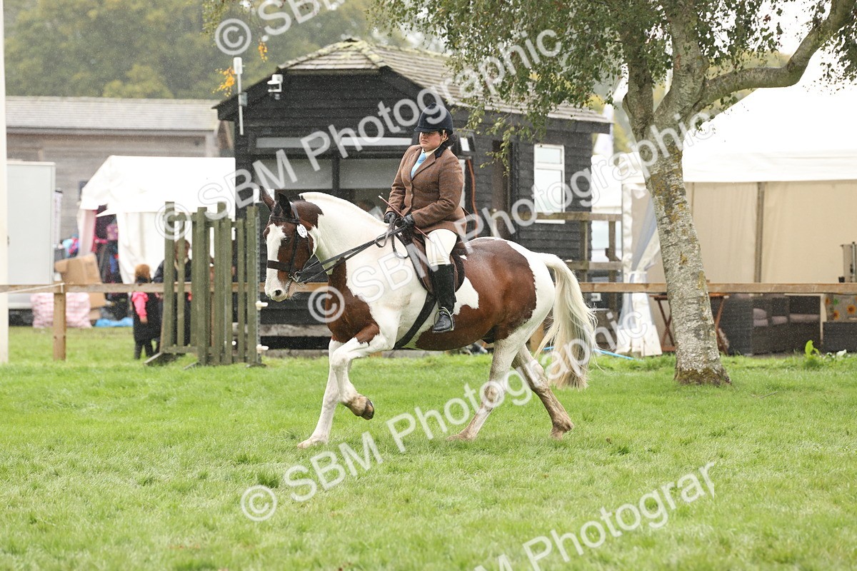 SBM_69820 - S69 - Show Cob Ridden