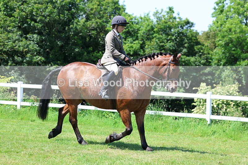 3E7A7145 - Class 30: Novice Working Hunter