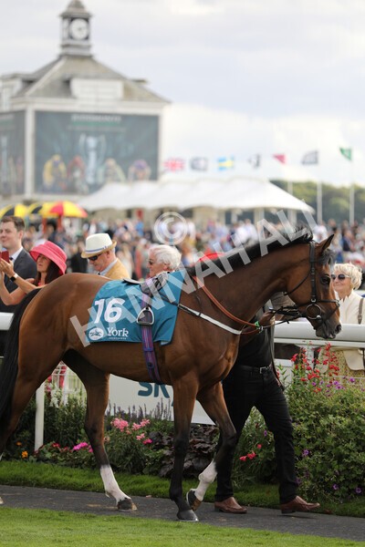 yr19082022r7-2 - Race 7 5.20pm Sky Bet Mile Stakes