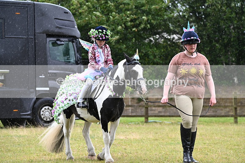 WJ6_9102 - Class 11 Fancy Dress