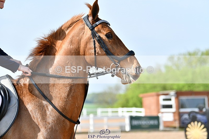 240511A-094324-11351 - Cls 28 95cm National Am Quali