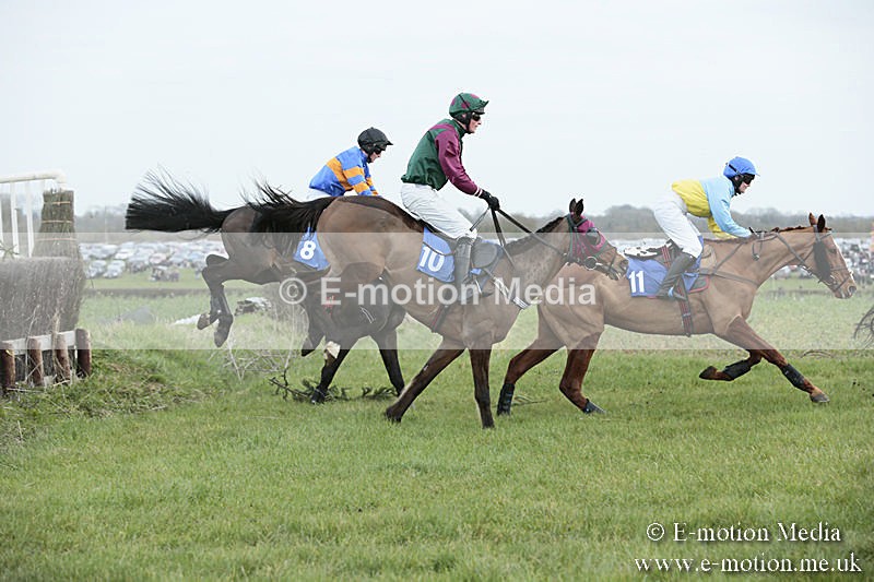 PtP 230319 124 - VWH Hunt Siddington Point-to-Point Racing 23/03/19