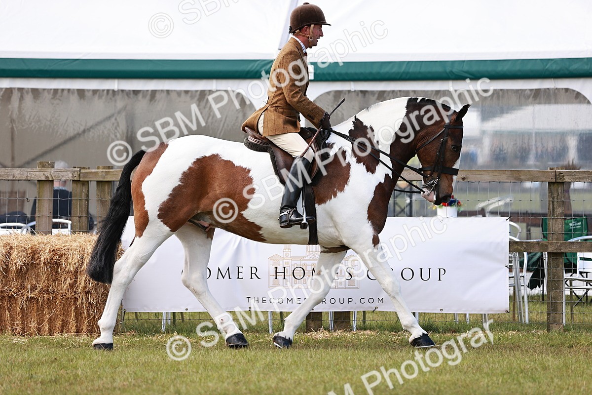 SBM_13993 - Class 85-87 - RIHS Cobs