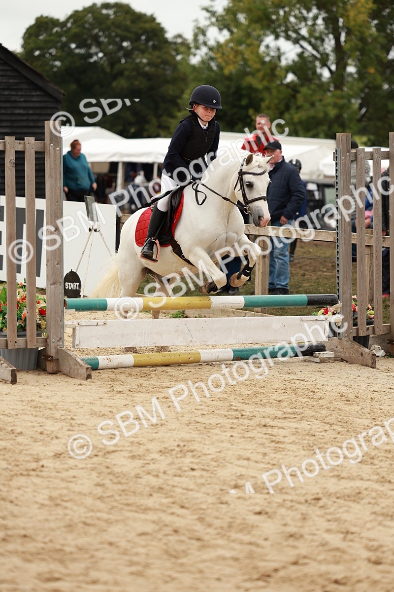 SBM_61789 - J12 - Junior Pony 55cm Championship