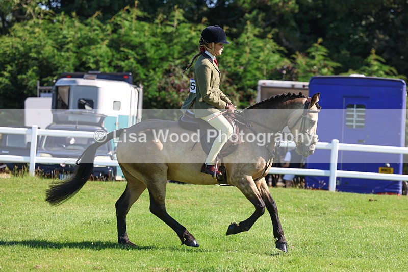 3E7A7830 - Class 2: Open Working Hunter pony