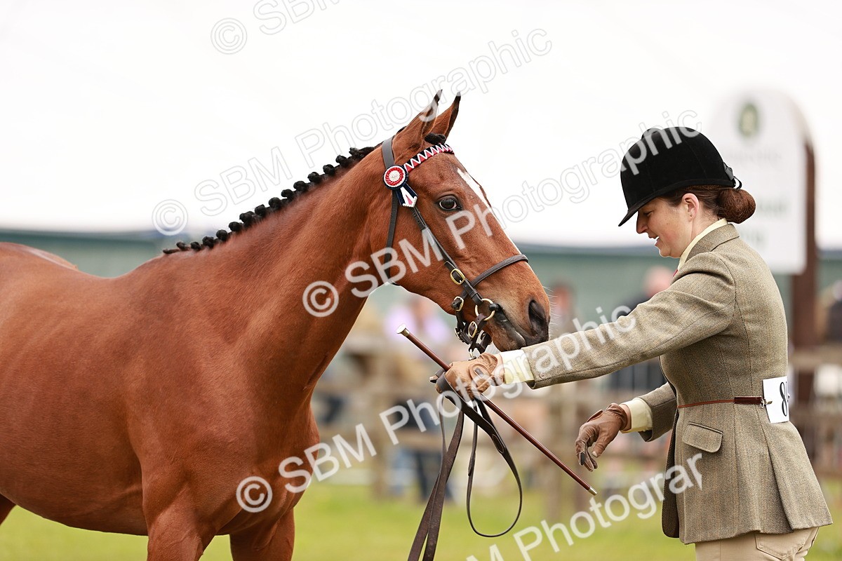 SBM_01708 - Class 31-34 Hack Breeding