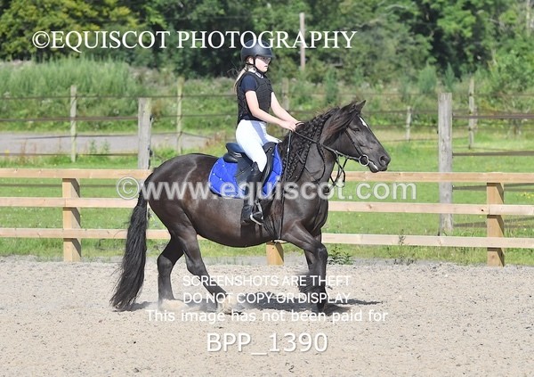 BPP_1390 - DERBY CLASS 2 - 30CM