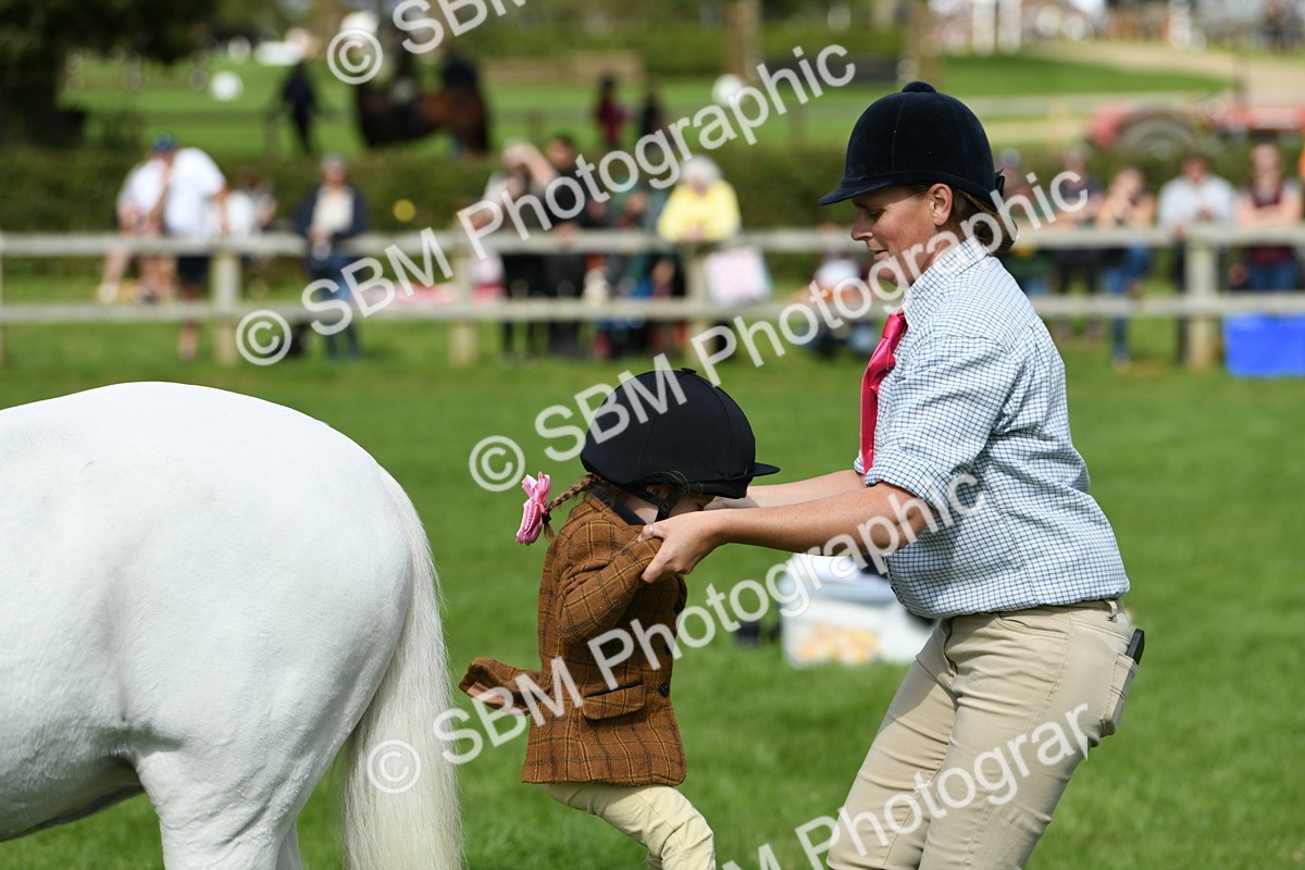 SBM_46804 - S12 - Family Horse & Pony