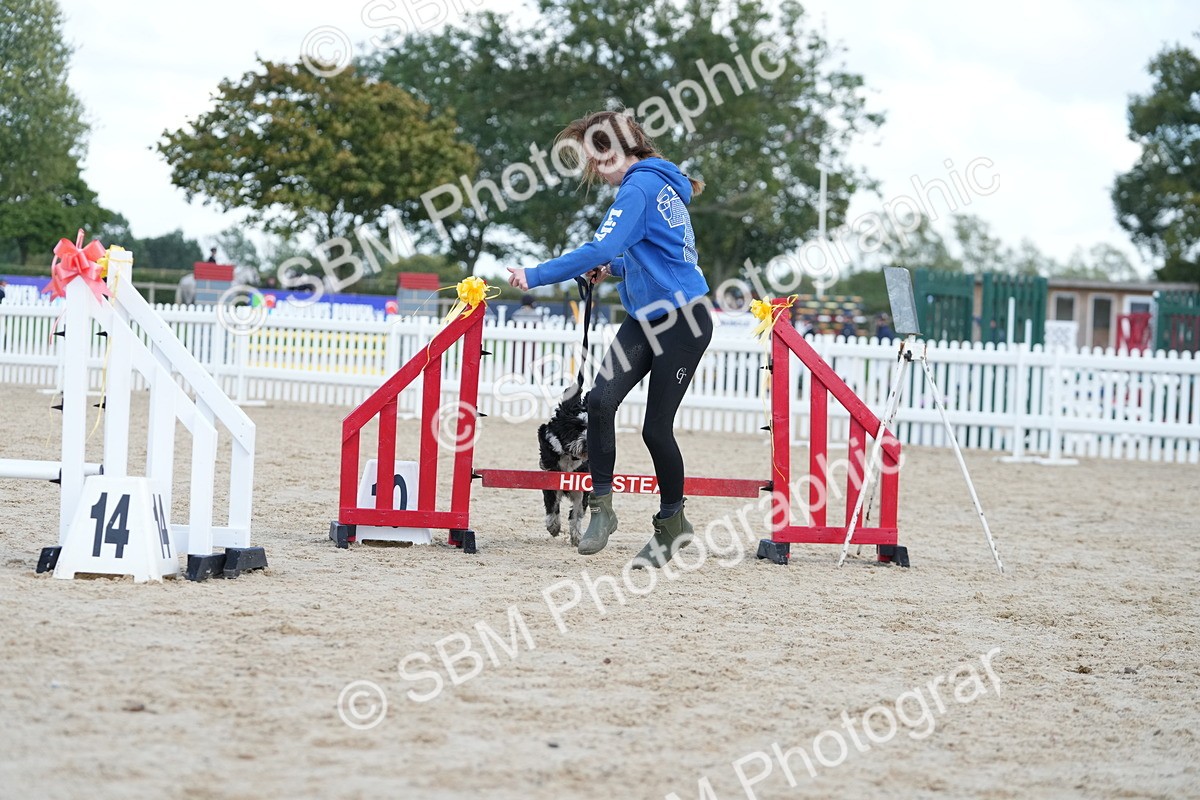 SBM_29182 - J43 - Horse & Hound Open 50cm