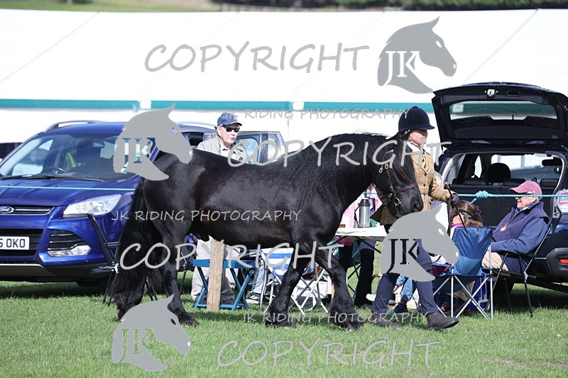 APP_2752 - Class 10a/b M&M in hand