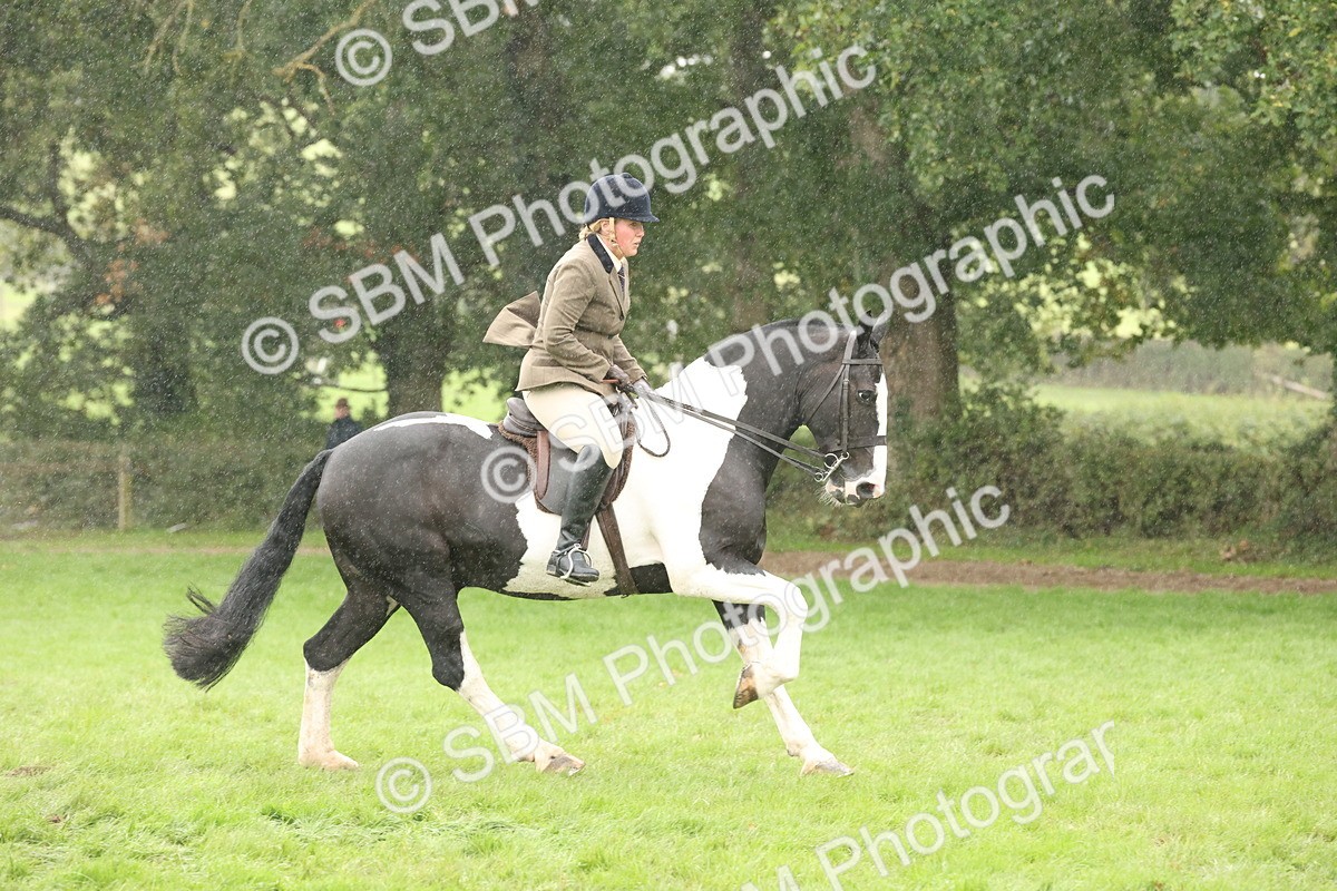 SBM_69812 - S69 - Show Cob Ridden