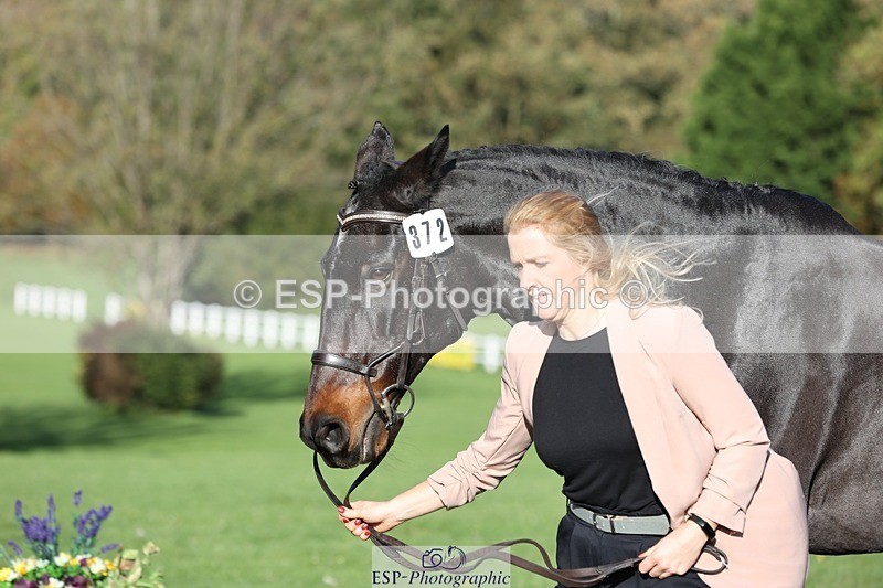 241027-095311-15560 - 372-Michelle.Newnham-LOUIS.HS