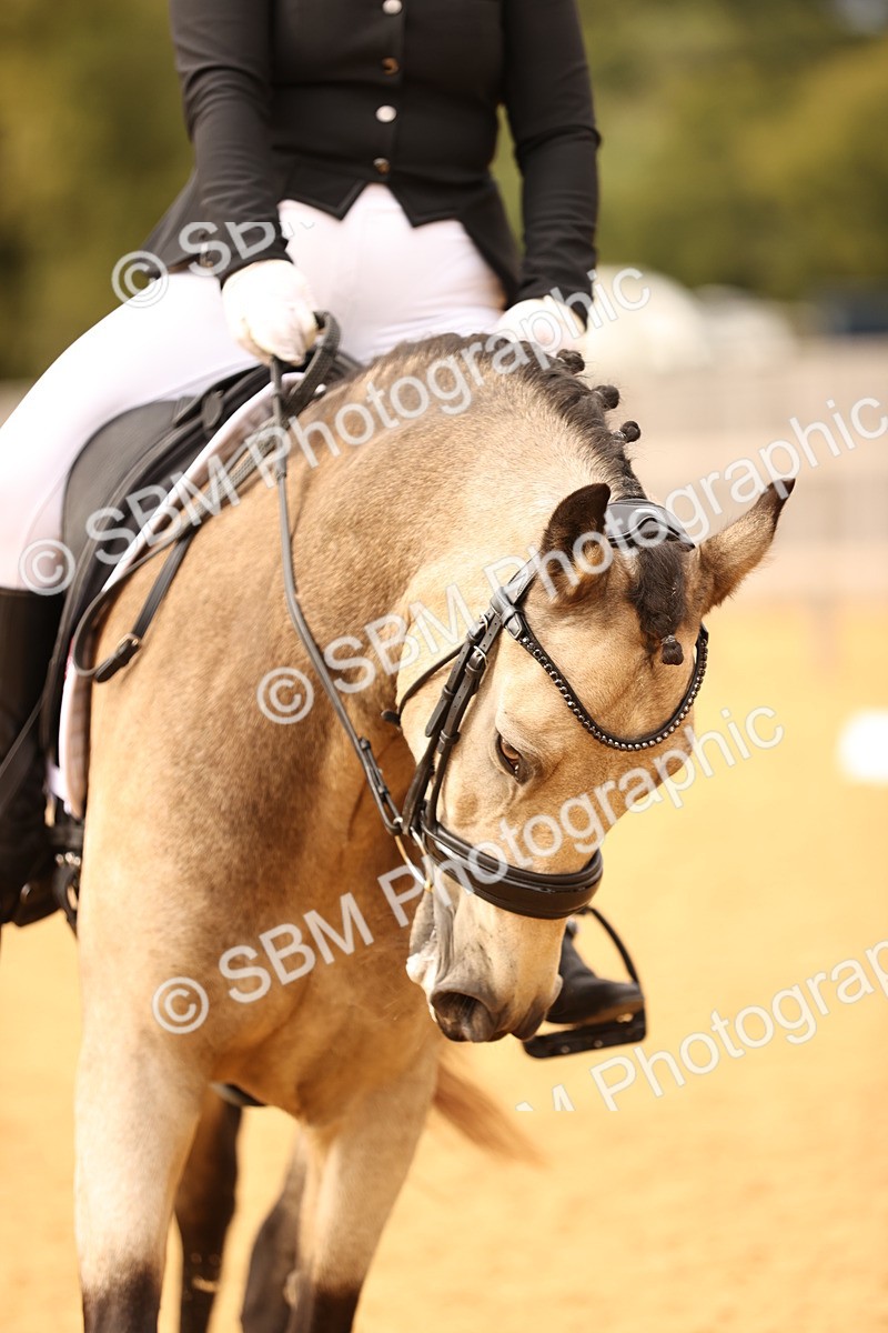 SBM_11786 - D9 Small Tour Championship Prelim 18