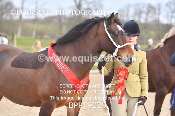 BPP_9029 - RING 2 - M&M