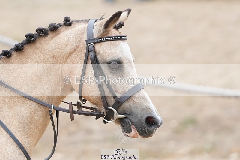 250820A-151455-10639 - Round 2, 14.45 to End