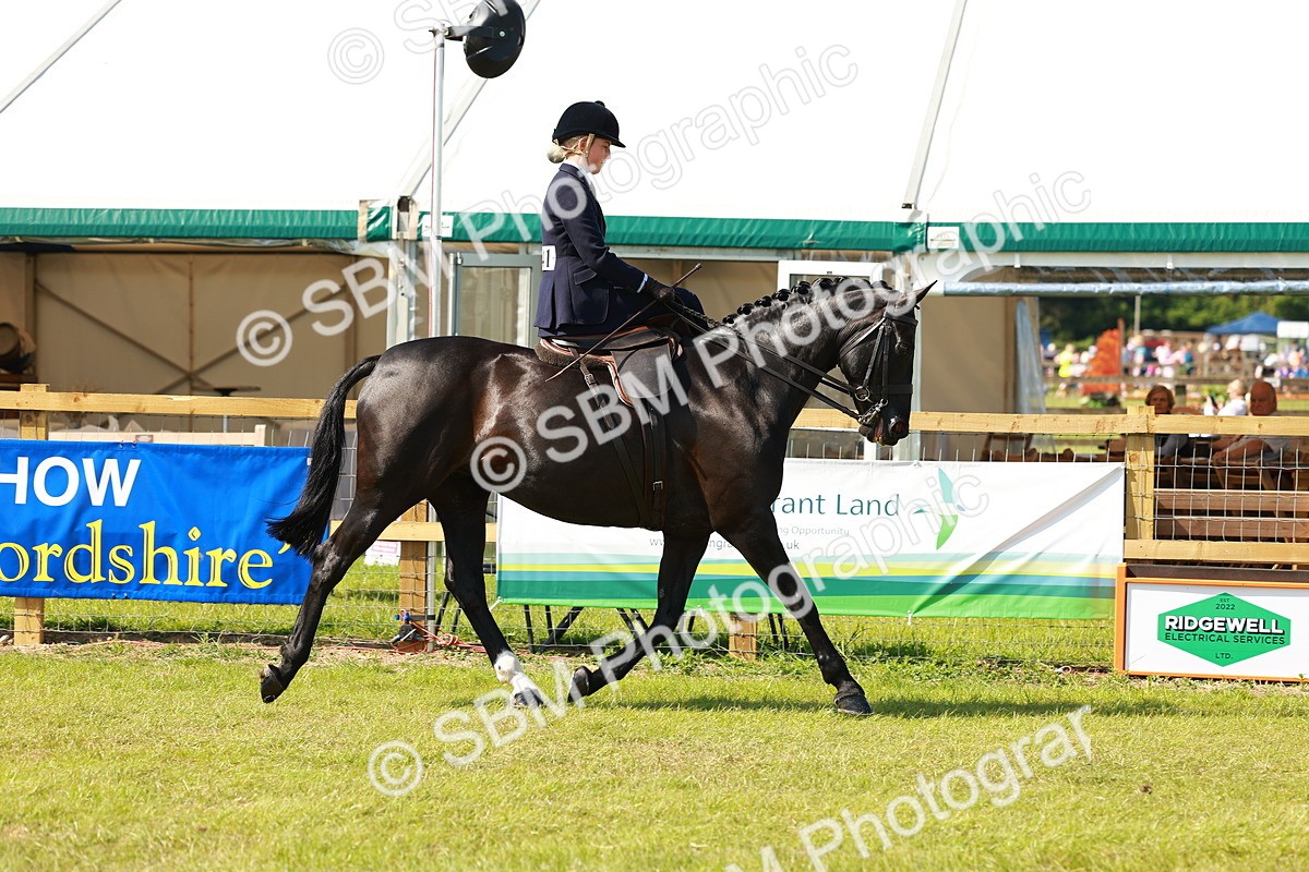 SBM_13120 - Class 70-71 - Side Saddle