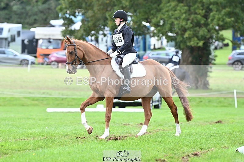 231020-153037-11501 - 686-MOORLAND.MAGIC-Charlotte.Chard-DR