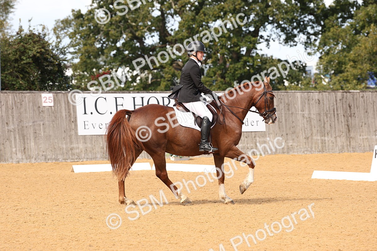 SBM_20242 - D10 - Small Tour Championship Prelim 2