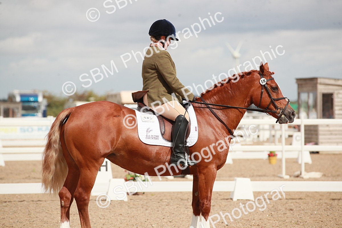 SBM_05875 - Class 32 - Novice 1