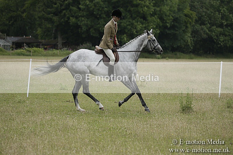 B230619-0934 - Bourne Valley Riding Club Summer Show 23/06/19