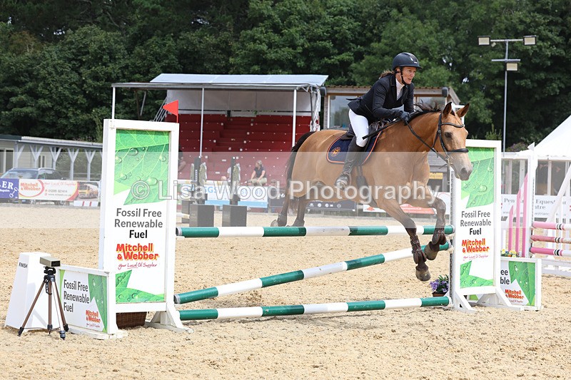 3E7A4848 - Class 4: Senior British Novice/90cm open