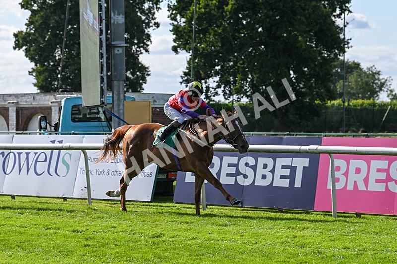 160824-Race 1-Thunder Wonder-8811 - Race 1