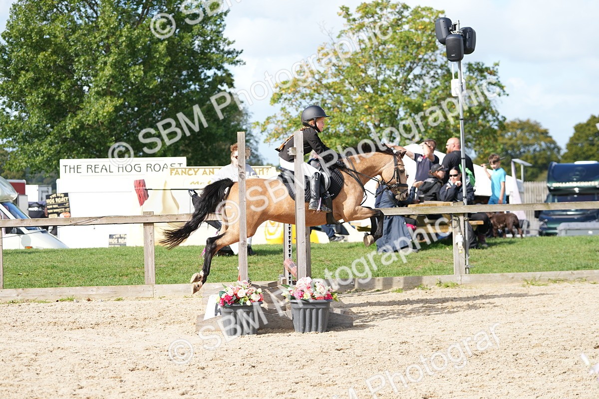 SBM_17786 - J58 - Clear Round 50cm