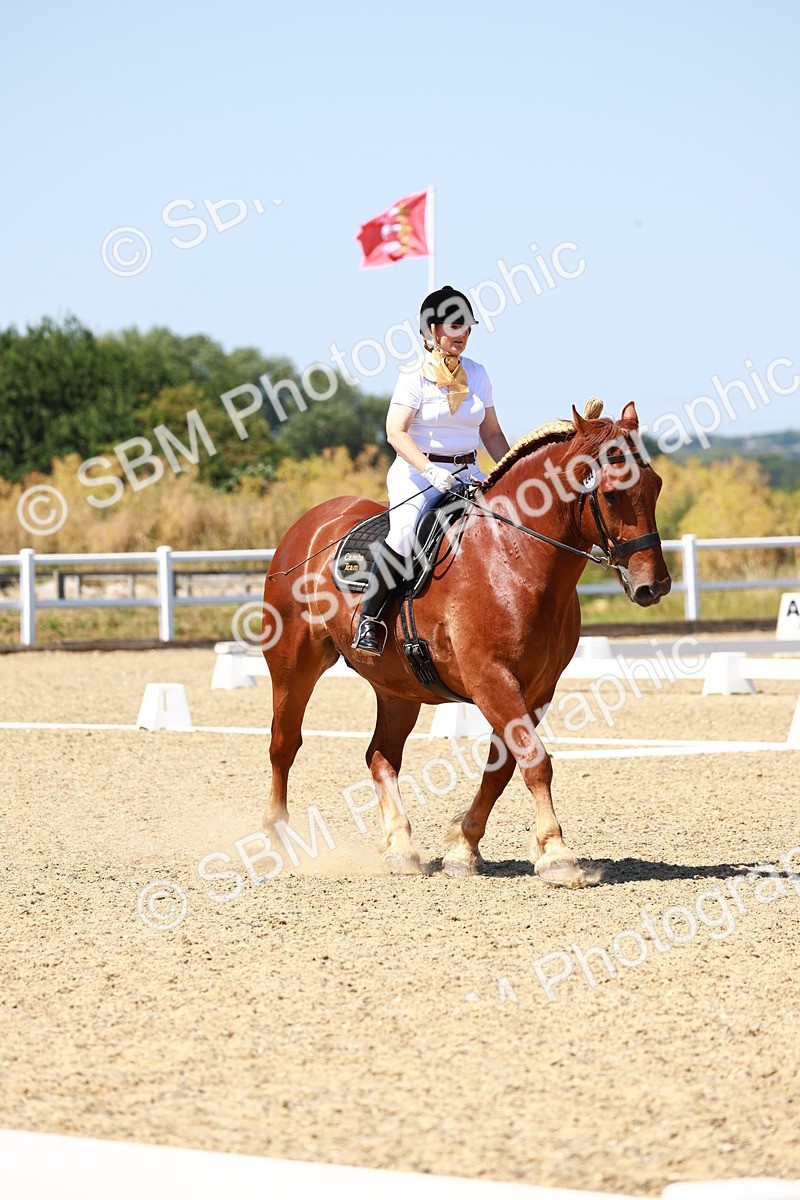 SBM_011795 - Intro 3 - 13.00-14.10