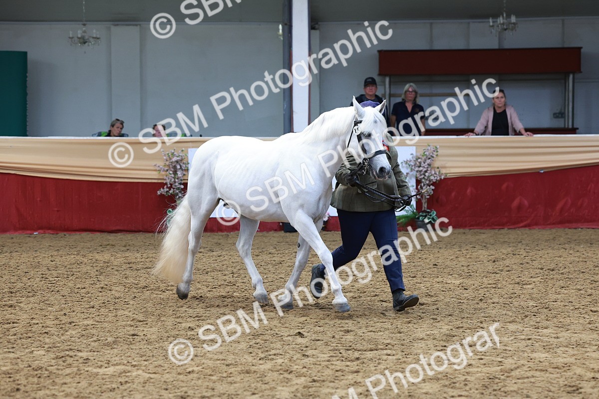 SBM_17477 - Class 951 - M&M IH Supreme Final