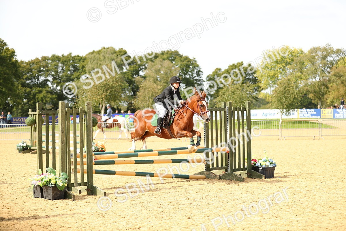 SBM_66016 - J17 - Junior Pony 80cm Championship