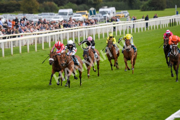 250823-Race 5-Reach-0857 - Race 5 4.10pm Assured Data Protection EBF Fillies' Handicap