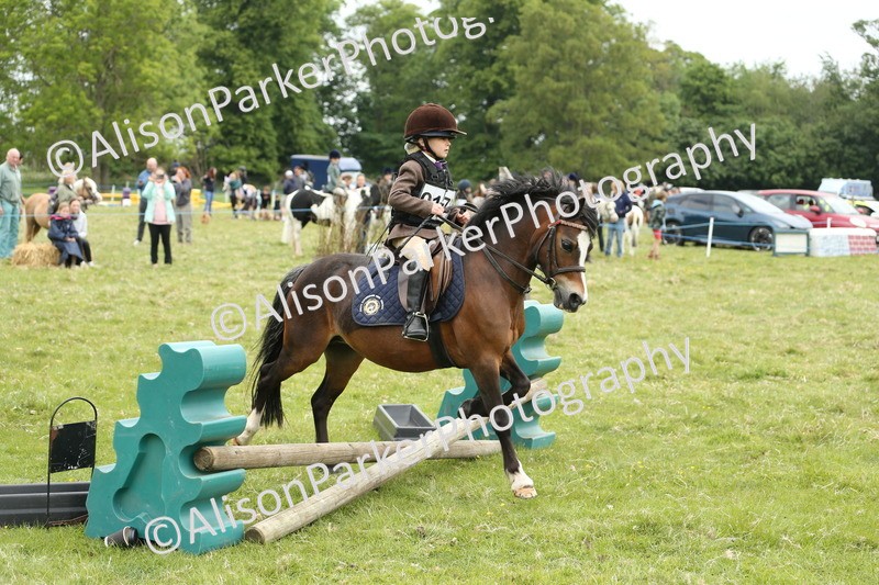 20250517-0506 - Class 20 - Beginners Working Hunter