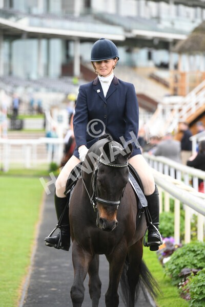 yr22052022r8e-15 - ROR - Parade Ring York