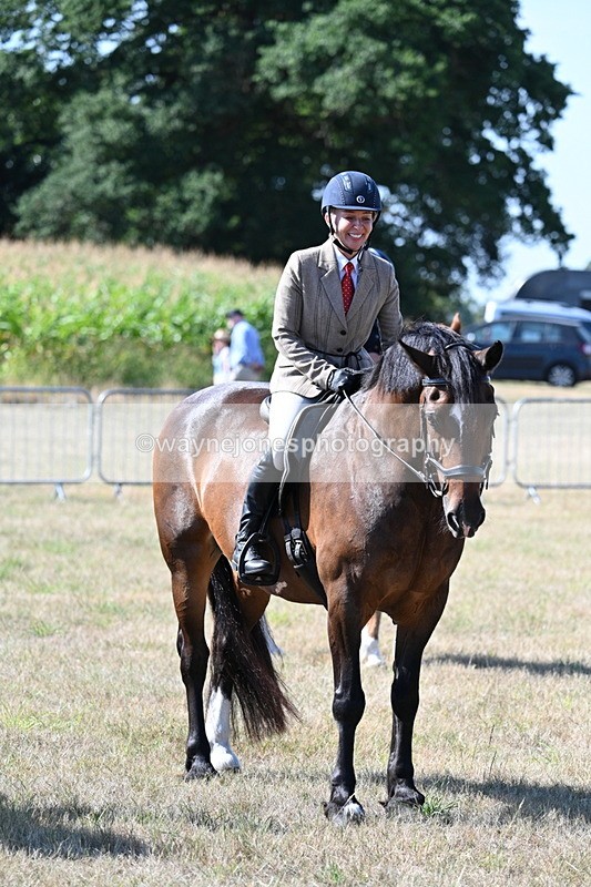 WJ7_3645 - Class 9 Mountain & Moorland Ridden