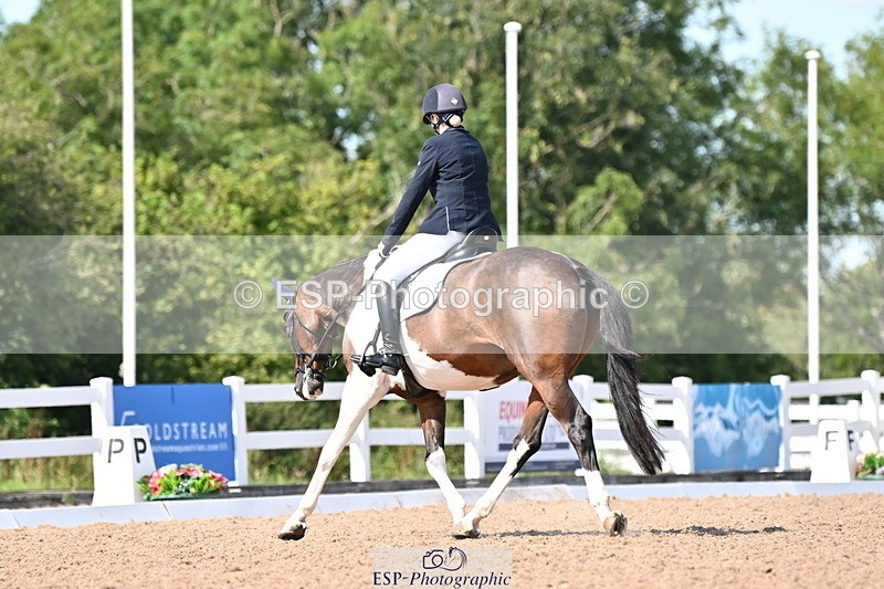 240816A-144858-05505 - 208-Sophie.Savage-Two.Tone.Ted