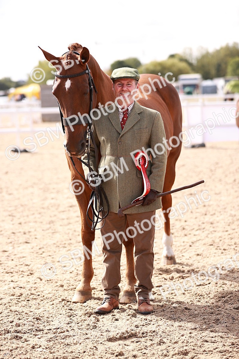 SBM_13356 - class 406 - IH Hunter